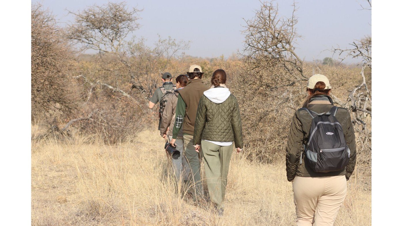 Mziki Safari Lodge